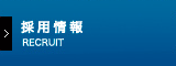 採用情報